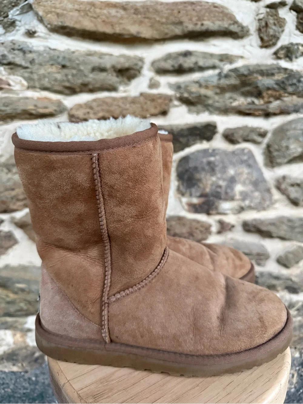Women’s 7 Short Chesnut Uggs